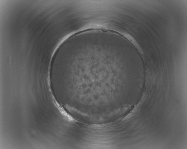 X0000060790904200511101415