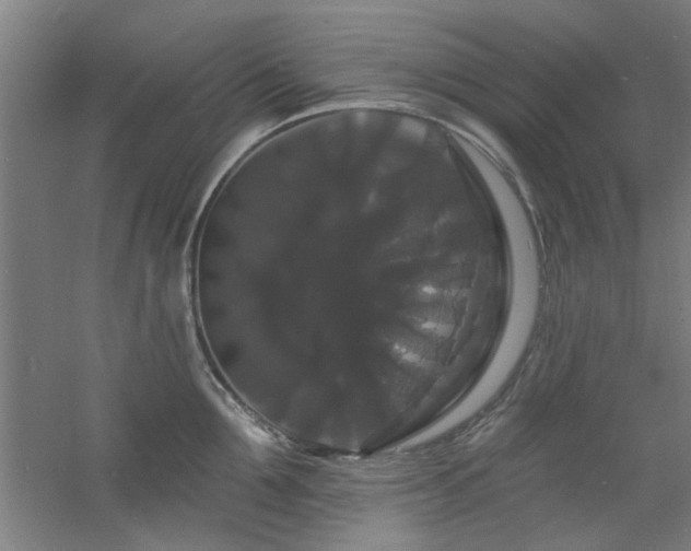 X0000060790907200511101415