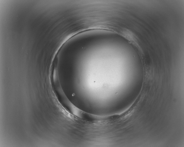 X0000060790908200511101415