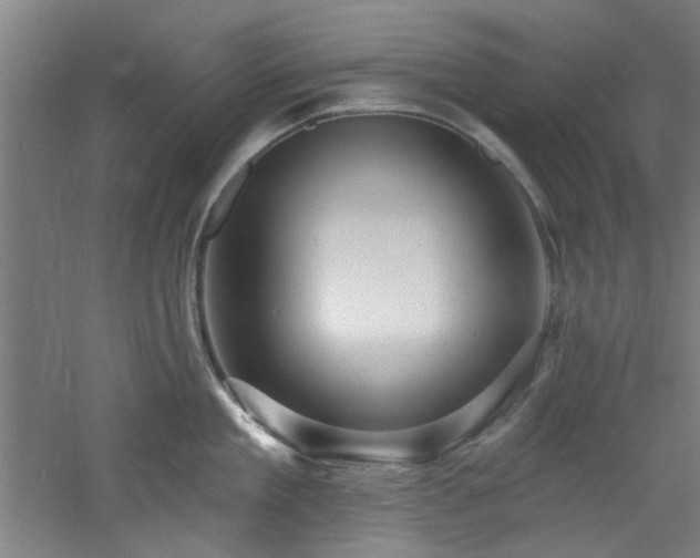 X0000060790909200511101415