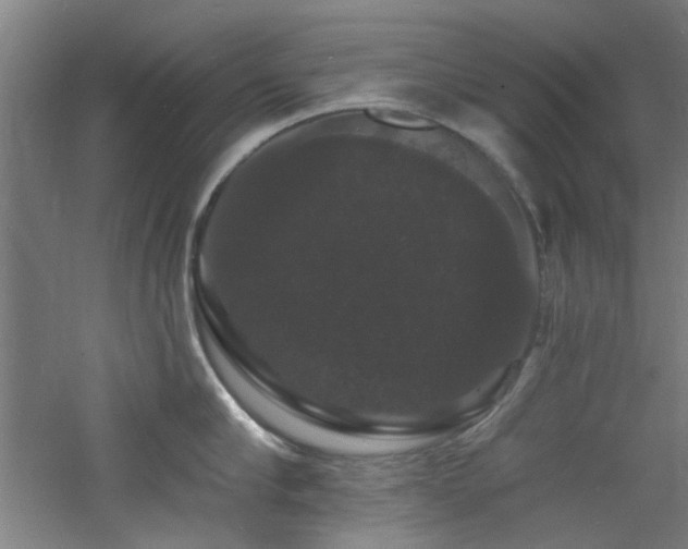 X0000060790910200511101415