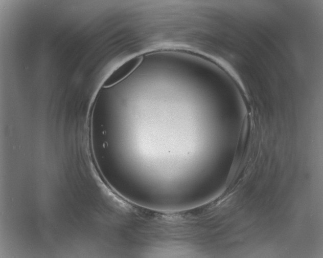 X0000060790911200511101415