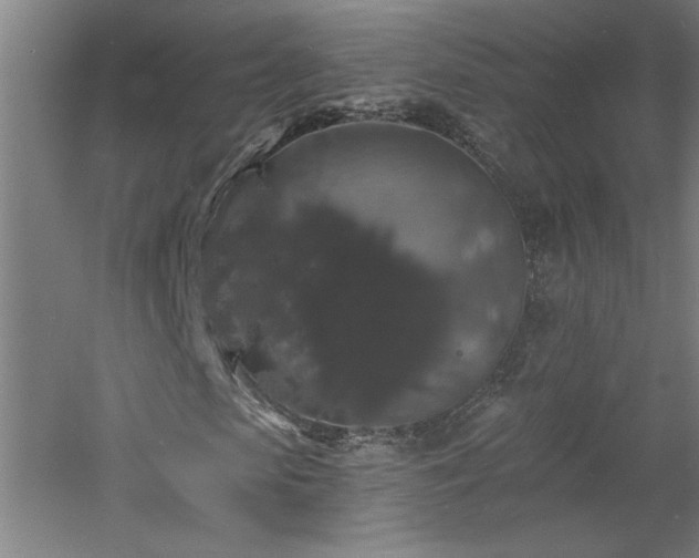 X0000060790913200511101414