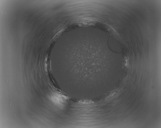 X0000060790915200511101414