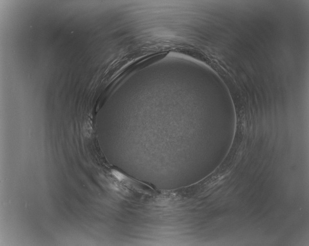 X0000060790916200511101414