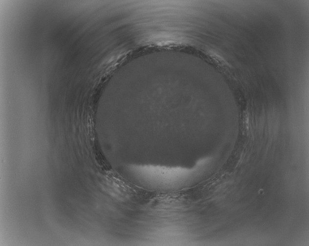 X0000060790917200511101414