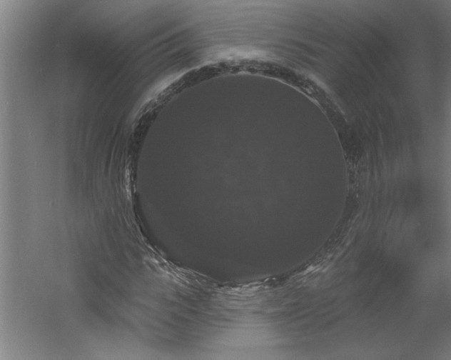 X0000060790919200511101414