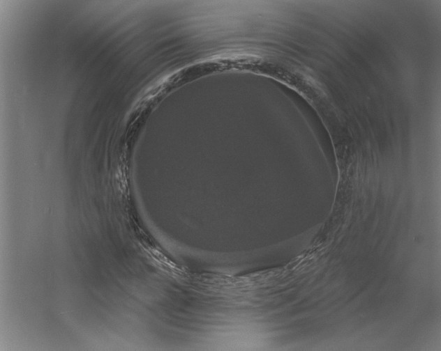 X0000060790920200511101414