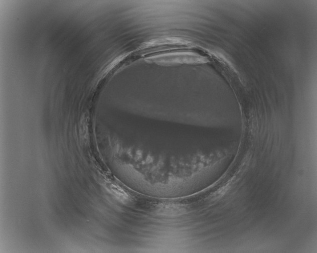 X0000060790921200511101414