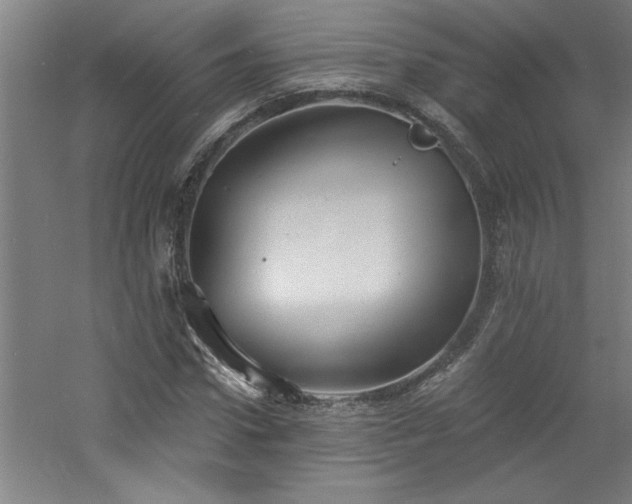 X0000060790922200511101414