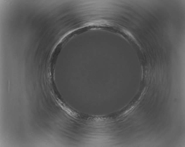 X0000060790923200511101414