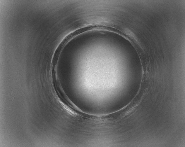 X0000060790924200511101414