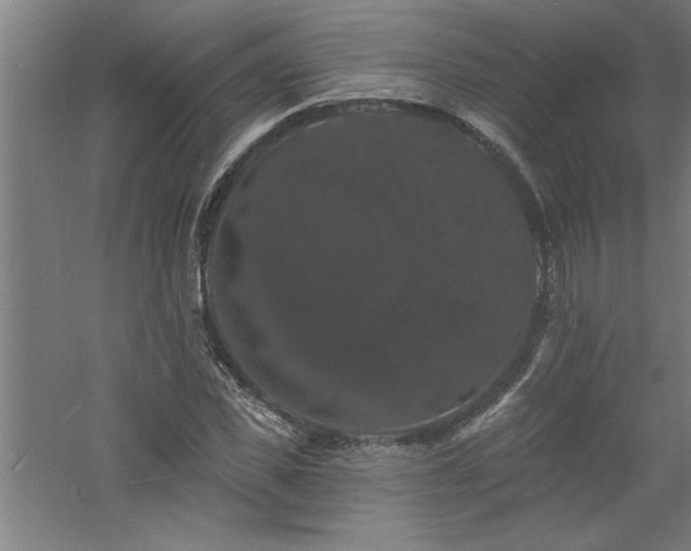 X0000060790925200511101414