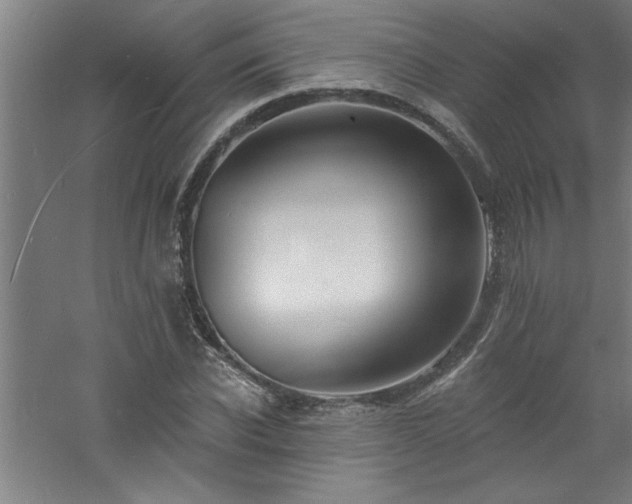 X0000060790926200511101414