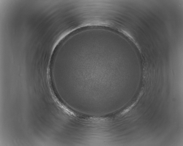 X0000060790928200511101414