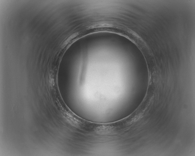 X0000060790929200511101414