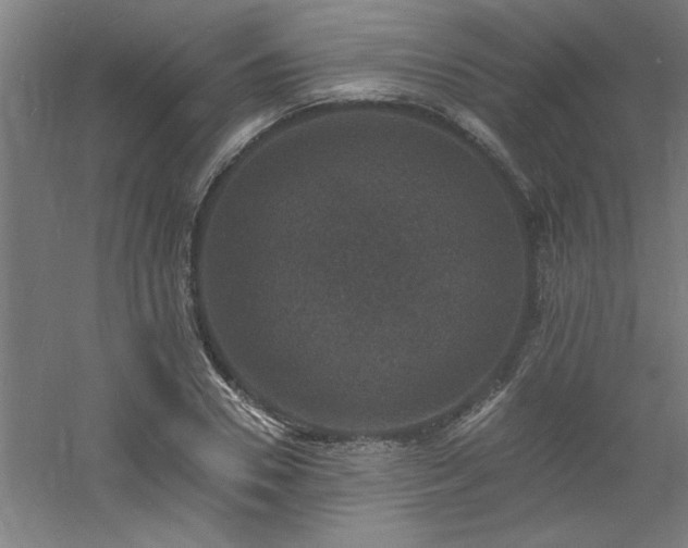 X0000060790930200511101414