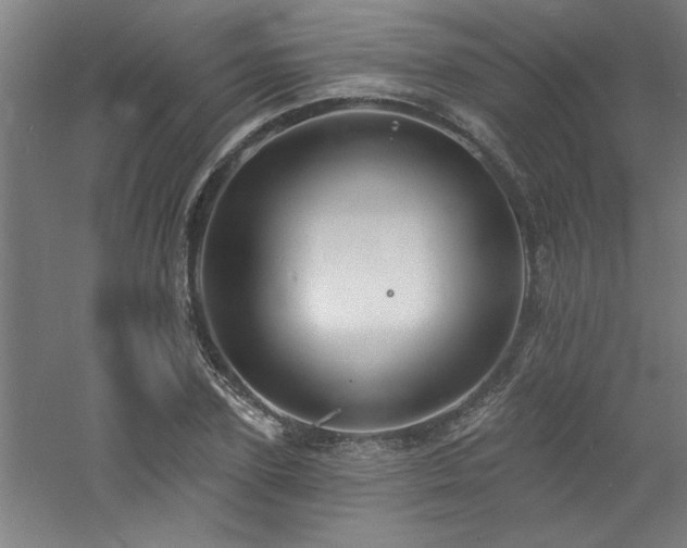 X0000060790931200511101415