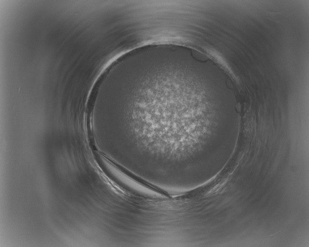 X0000060790932200511101415