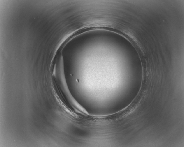 X0000060790933200511101415