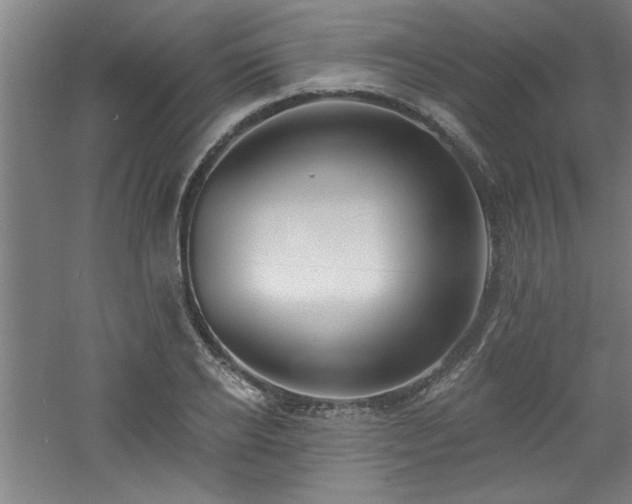 X0000060790934200511101415