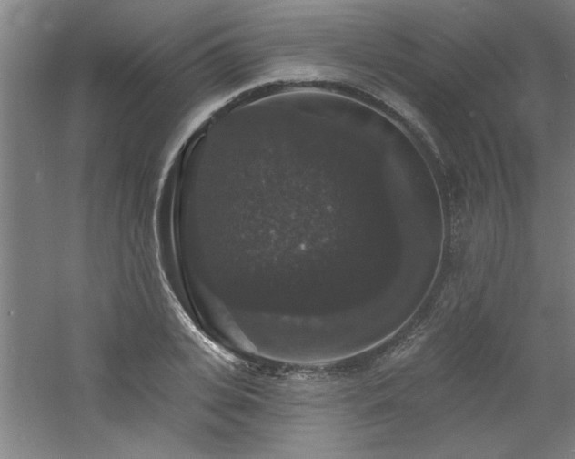 X0000060790935200511101415