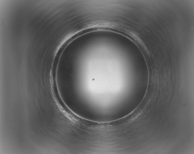 X0000060790936200511101415