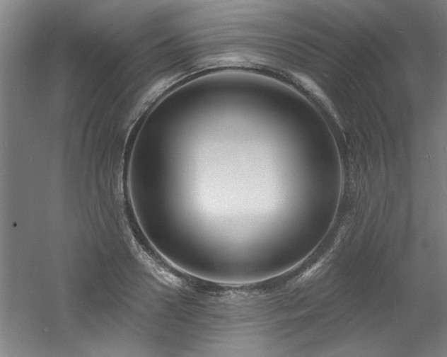 X0000060790938200511101415