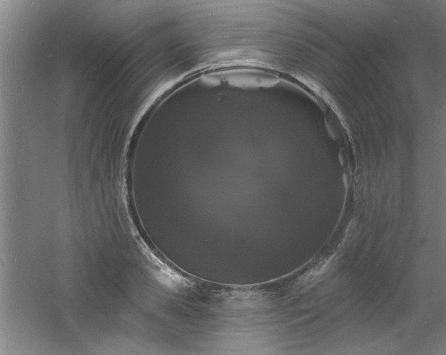 X0000060790941200511101415