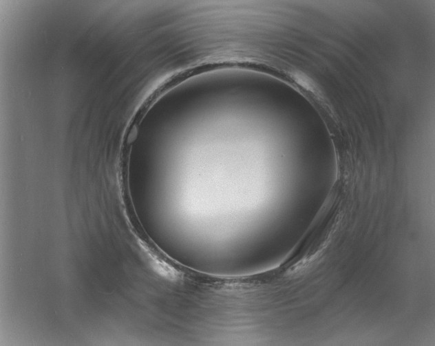 X0000060790942200511101415