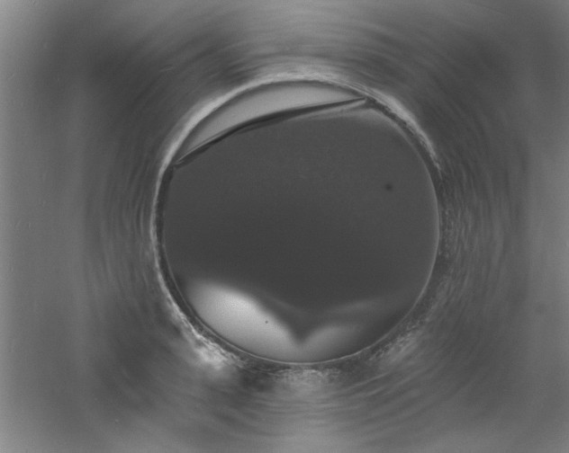 X0000060790943200511101415