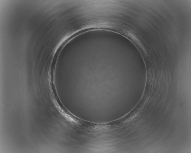 X0000060790944200511101415