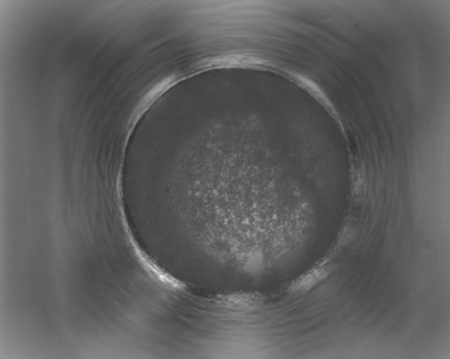 X0000060790946200511101415