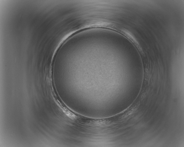 X0000060790948200511101415