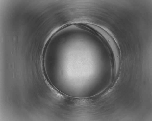 X0000060790949200511101415