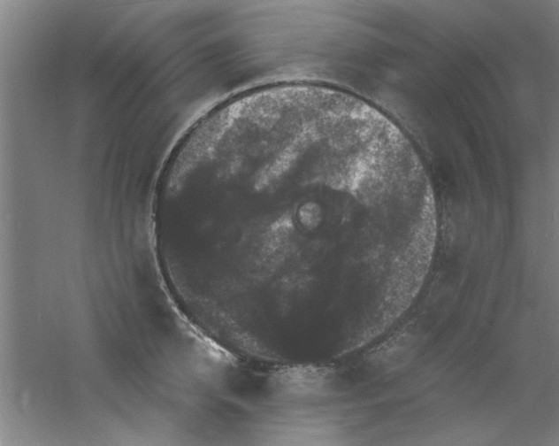 X0000060790950200511101415