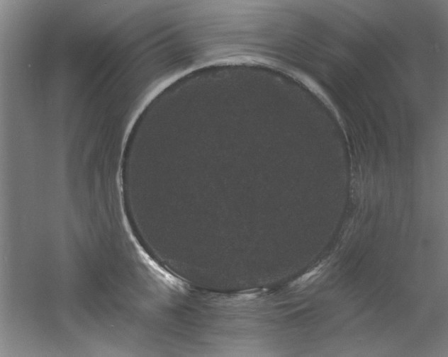 X0000060790951200511101415