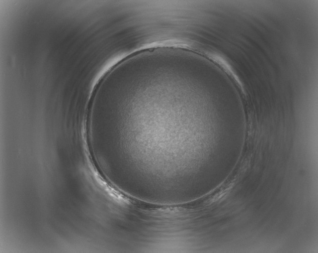 X0000060790952200511101415