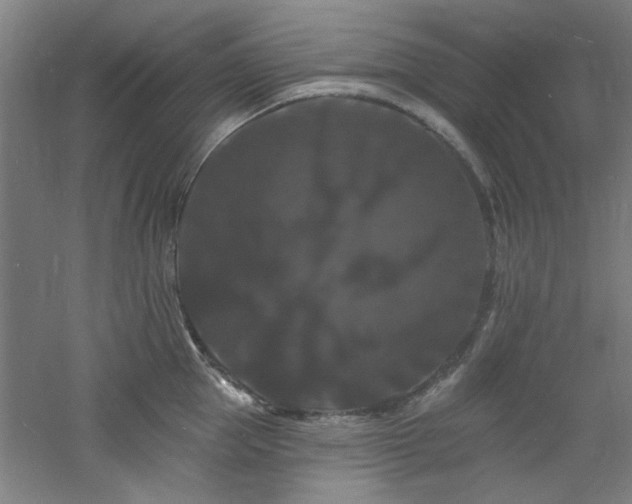 X0000060790953200511101415