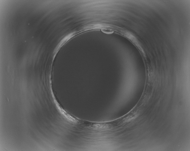 X0000060790954200511101415