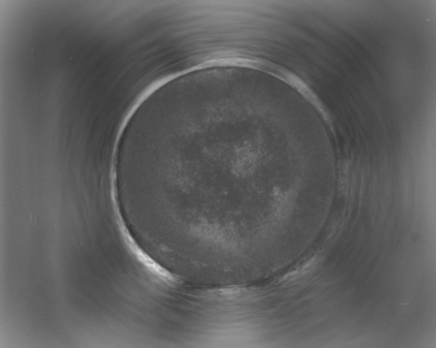 X0000060790955200511101415