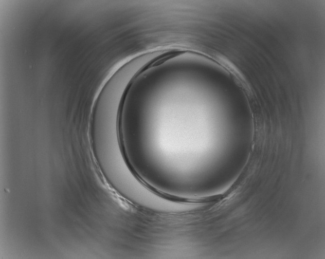 X0000060790956200511101415