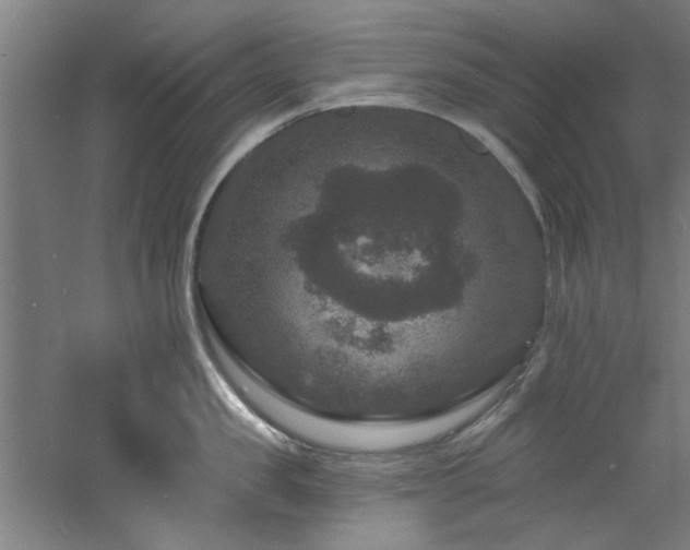 X0000060790957200511101415