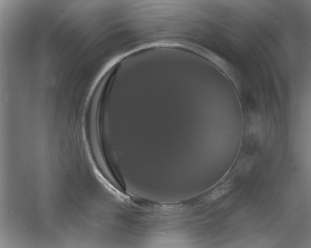 X0000060790958200511101415