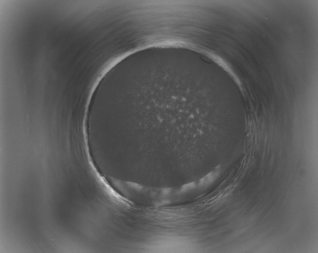 X0000060790959200511101415