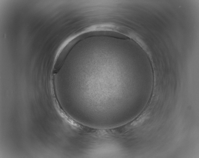 X0000060790960200511101415