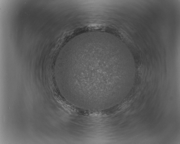 X0000060790961200511101414