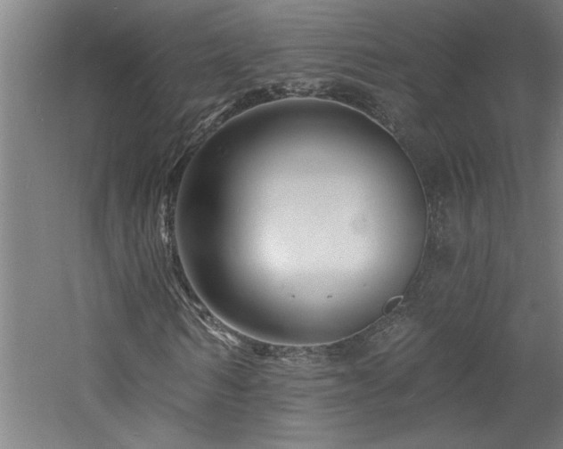 X0000060790962200511101414