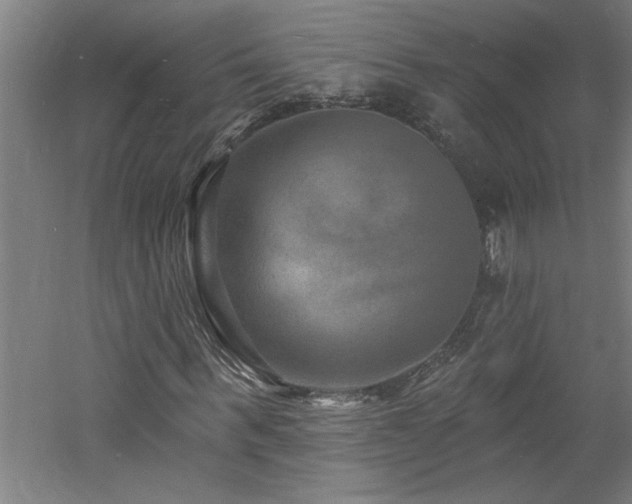 X0000060790963200511101414