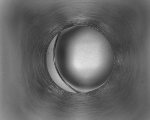 X0000060790964200511101414